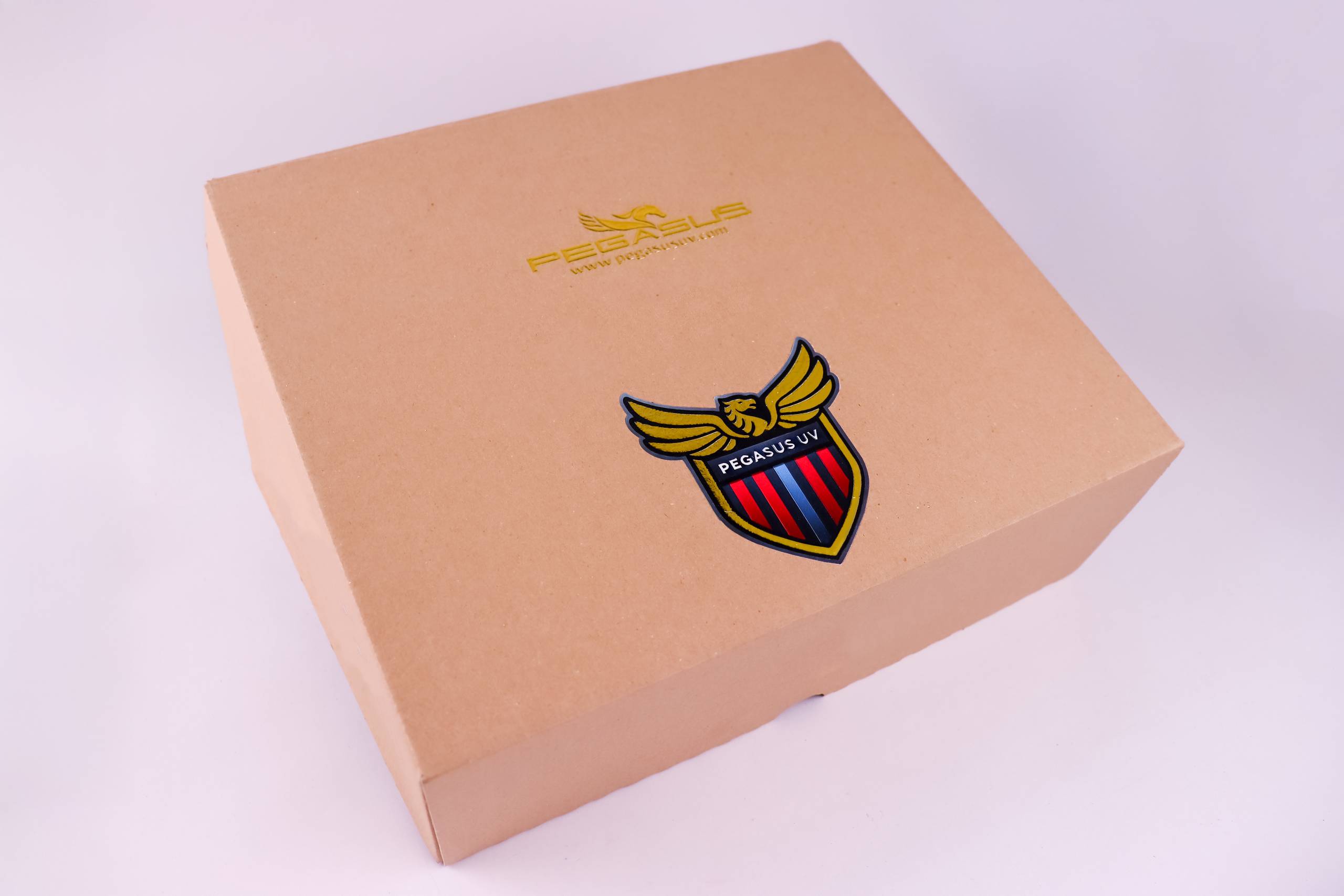 pudelko-naklejka-pegasus-scaled.jpg